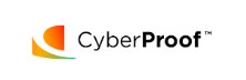 Providing Risk-Based Cyber Security Services