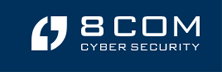 Continuous Detection and Analysis of IT Infrastructure